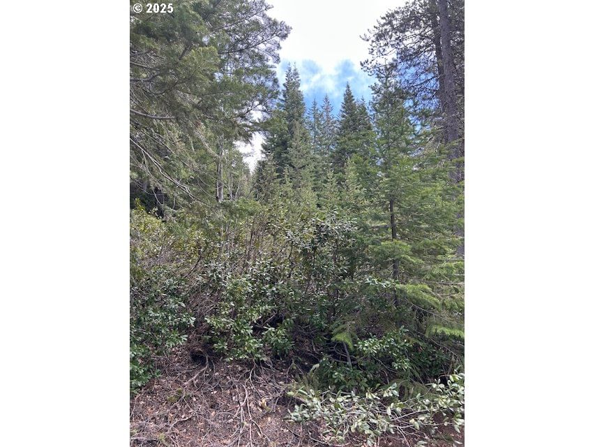 Listing photo 4 of 12, 5 Royce Pine, Crescent Lake, OR, 97733