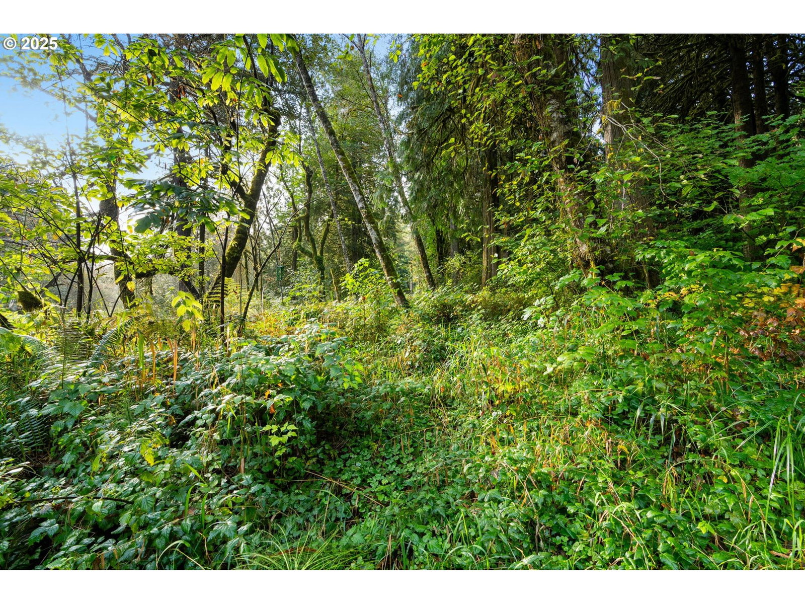 Listing photo 4 of 36, 0000 NE Cedar Creek RD, Woodland, WA, 98674