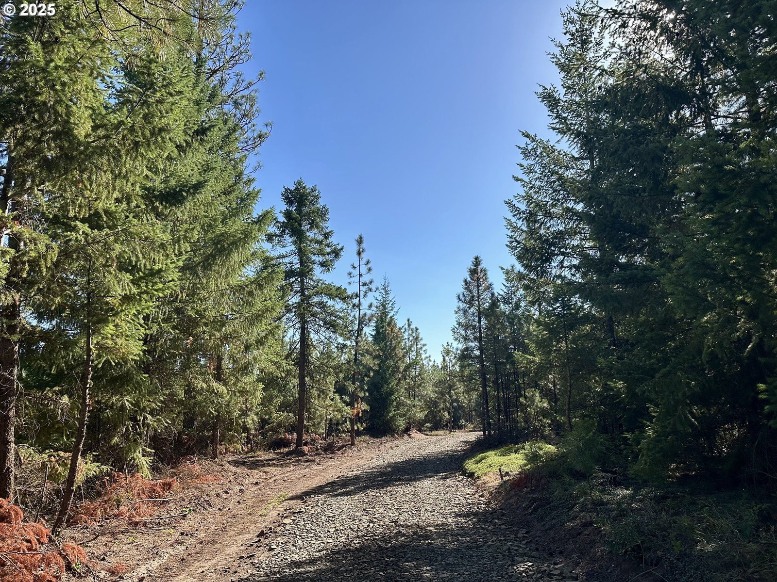 Listing photo 4 of 43, Black Butte - Lot 16, Goldendale, WA, 98620