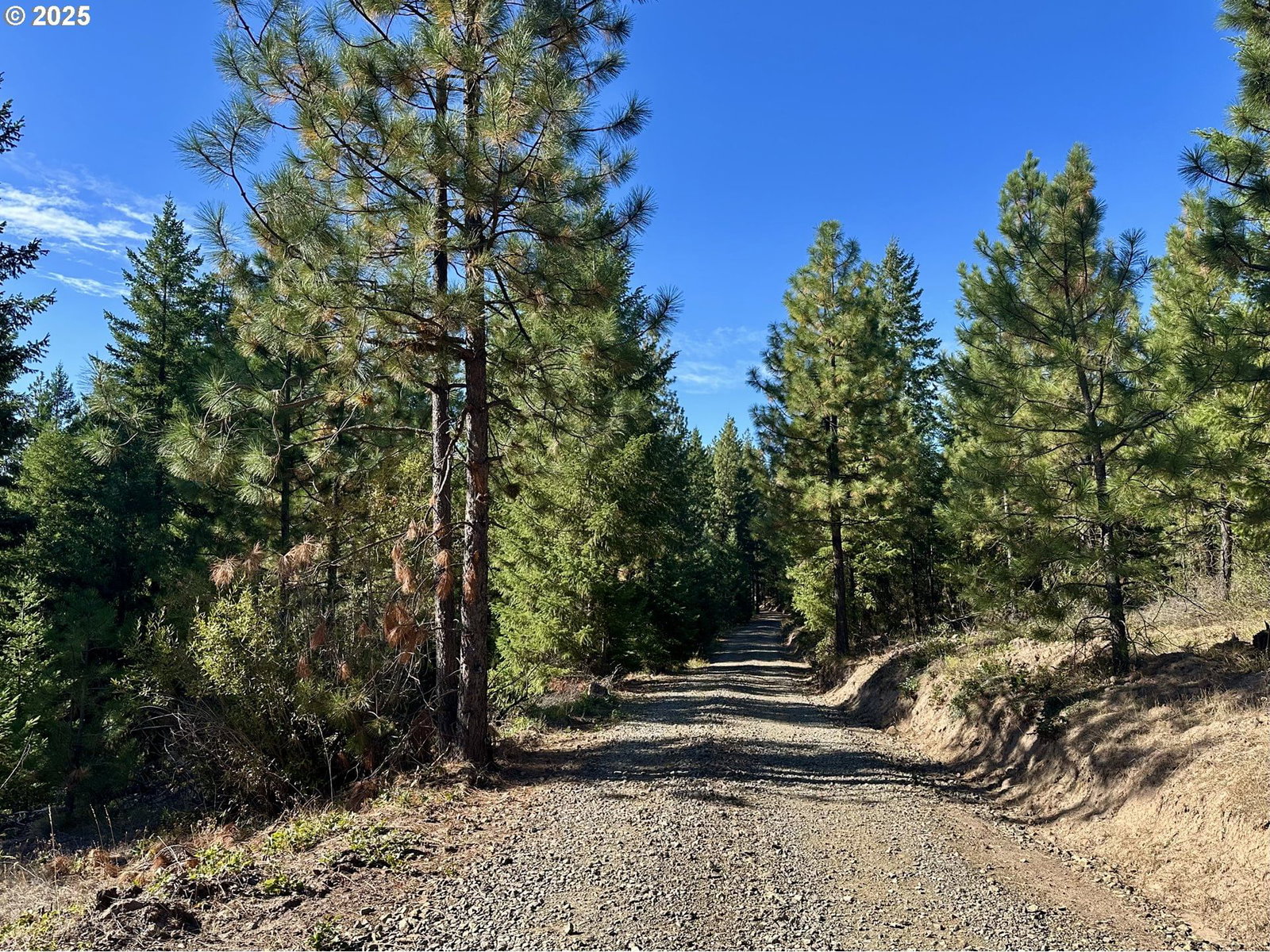 Listing photo 5 of 43, Black Butte - Lot 16, Goldendale, WA, 98620