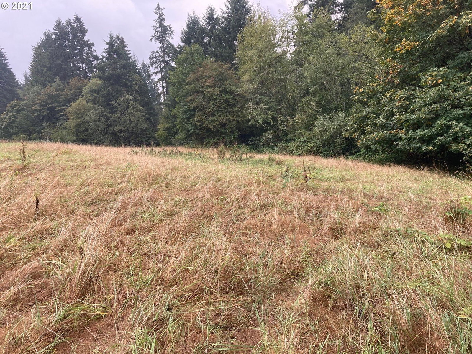 Listing photo 1 of 1
