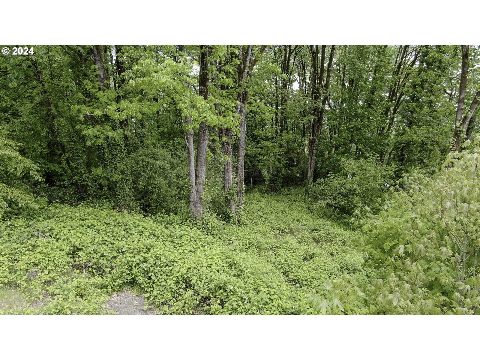 Listing photo 1 of 1
