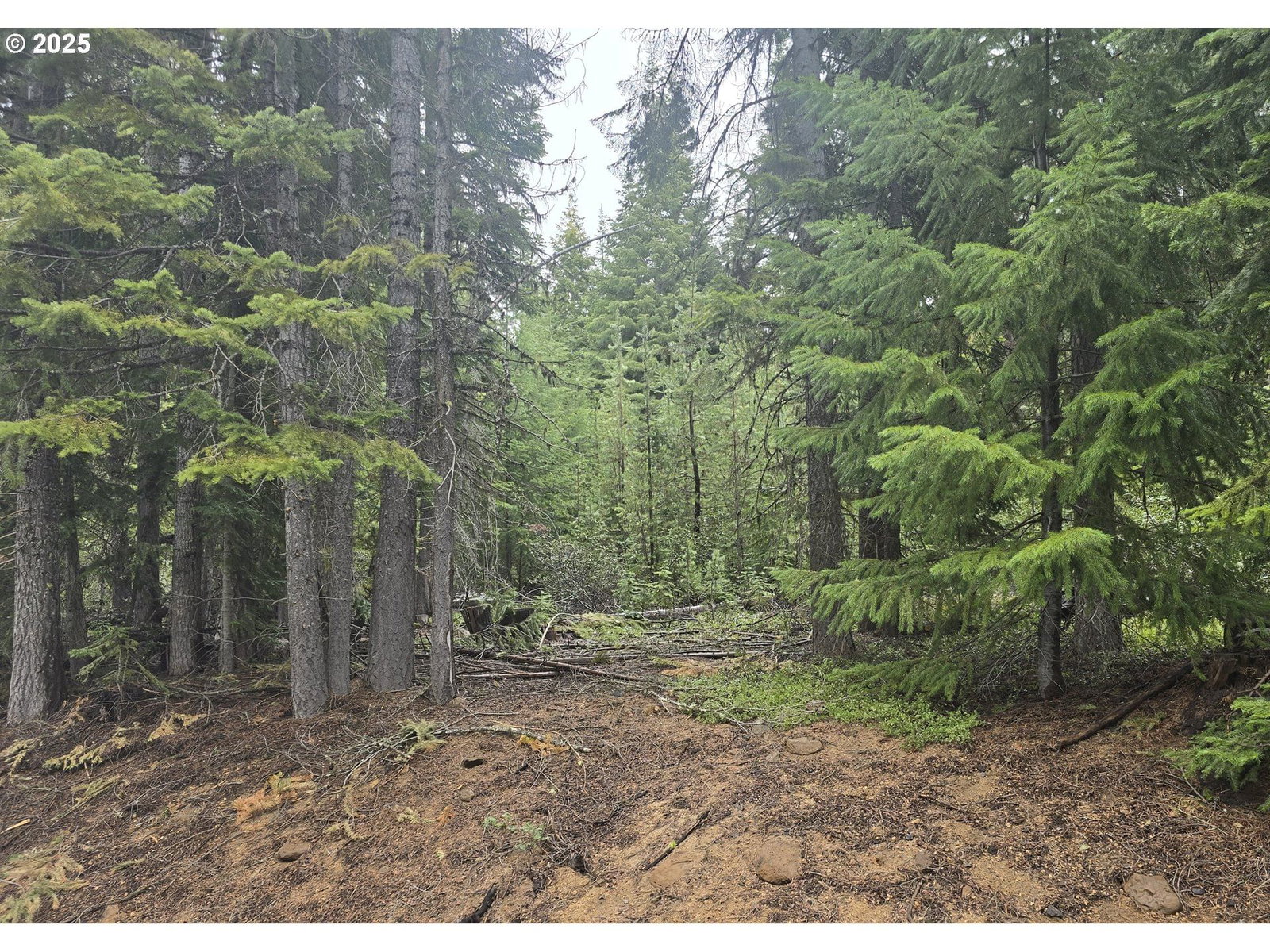 Primary listing photo, 4 Royce Pine, Crescent Lake, OR, 97733