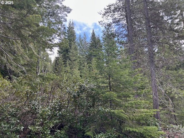 Listing photo 5 of 12, 4 Royce Pine, Crescent Lake, OR, 97733