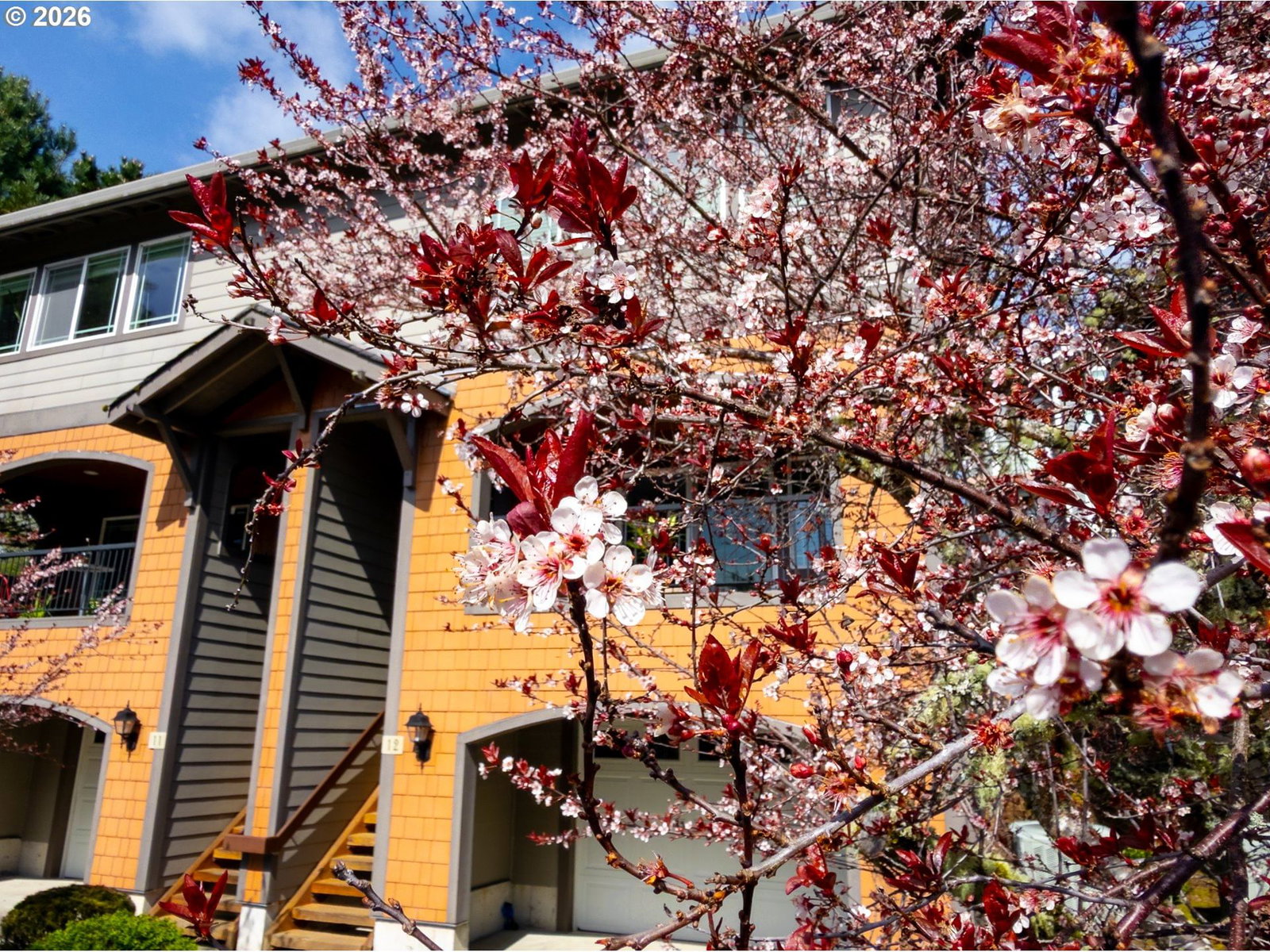 Listing photo 4 of 47, 13150 D ST #12, Nehalem, OR, 97131
