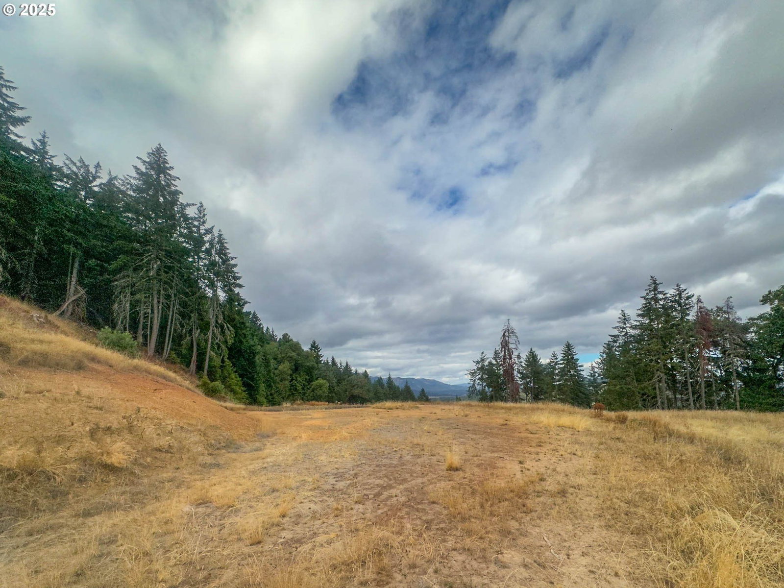 Listing photo 5 of 20, 584 BUZZ MOUNTAIN LN, Roseburg, OR, 97471