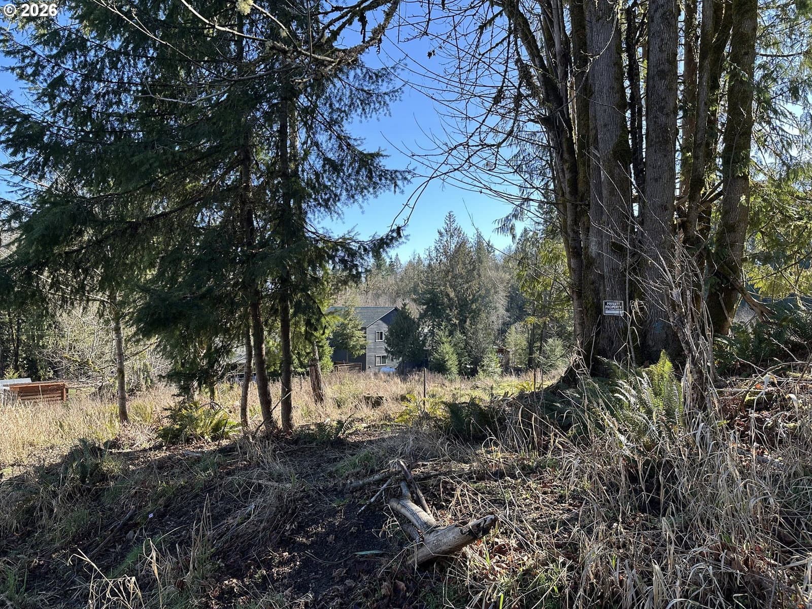 Primary listing photo, 165 E G ST, Vernonia, OR, 97064