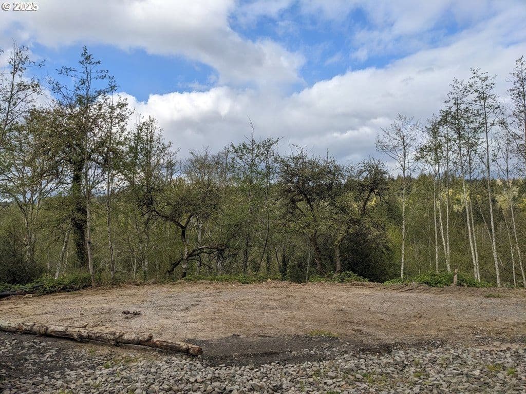 Primary listing photo, 0 WASHOUGAL RIVER RD, Washougal, WA, 98671