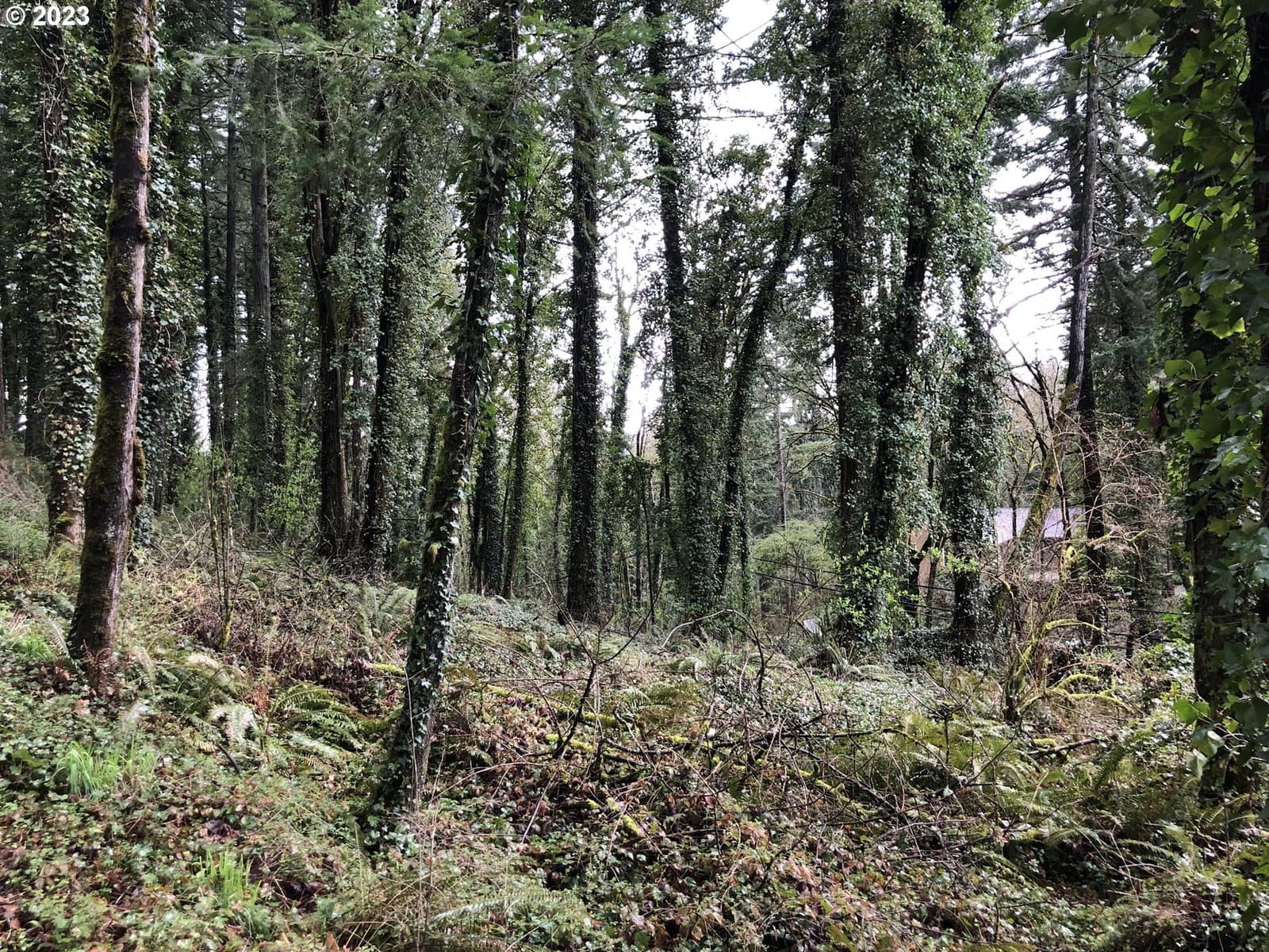Primary listing photo, 19088 BARTON RD, Lake Oswego, OR, 97034